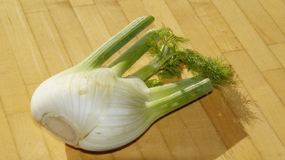 Health Benefits of Fennel Bulb