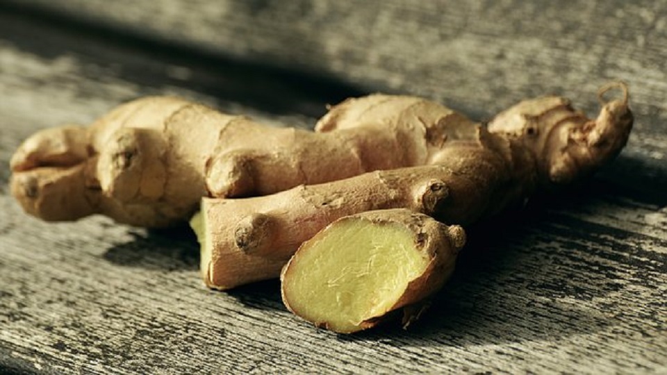 Vegetable Carbohydrates