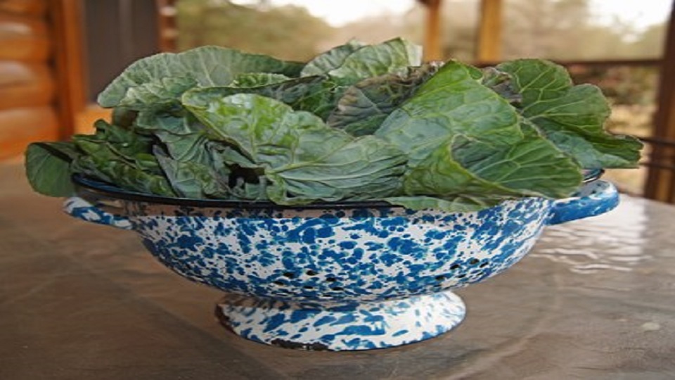 Health Benefits of Collard Greens and Mustard Greens