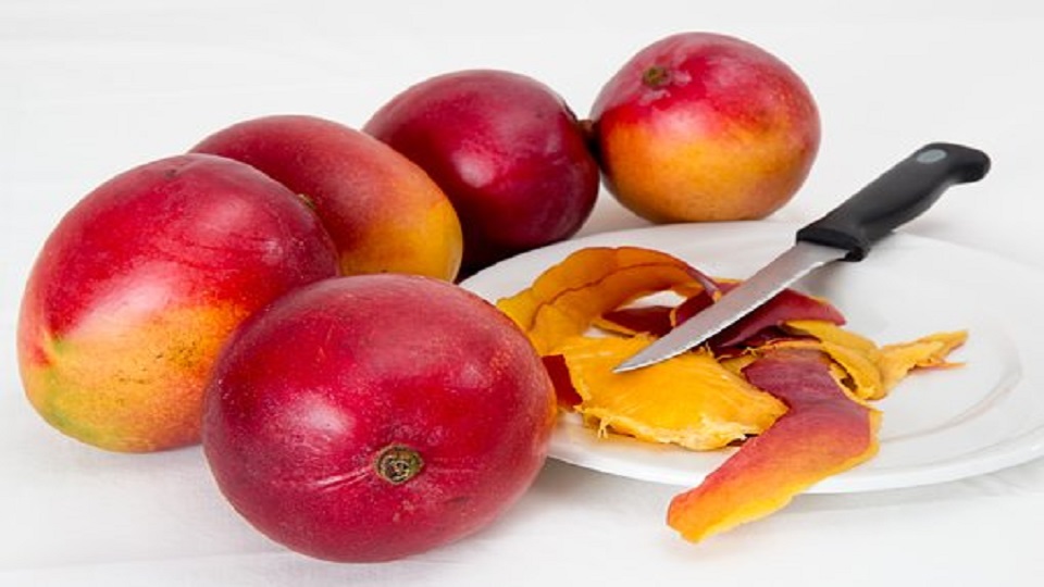 Organic Production of Mango