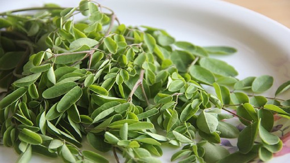 Vegetable Proteins
