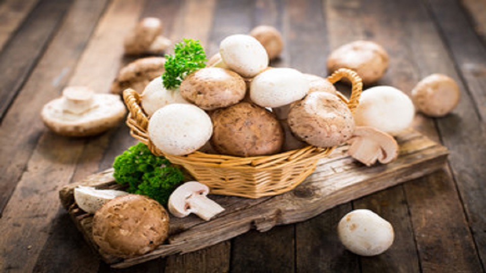 Health Benefits of Mushroom and Seaweeds