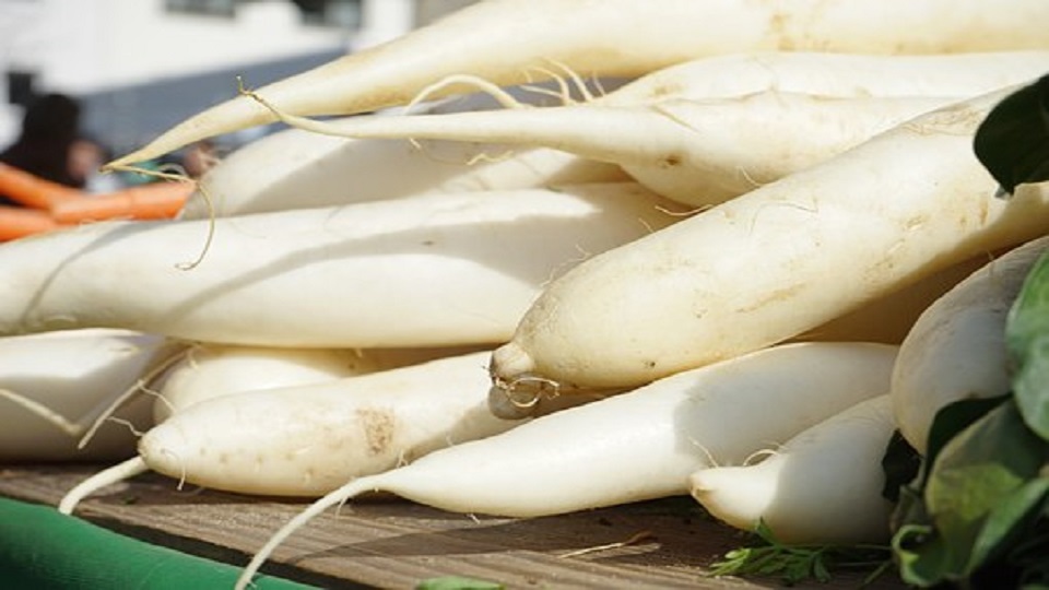 Food Uses of Radish and Rutabaga