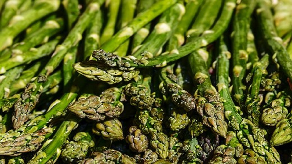 Nutrition in Different Types of Asparagus