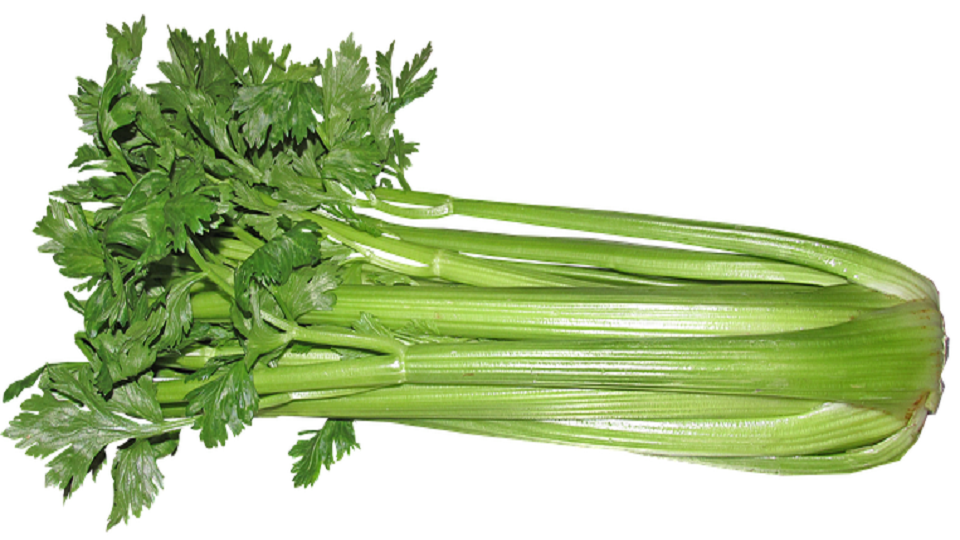 Nutrition in Celery