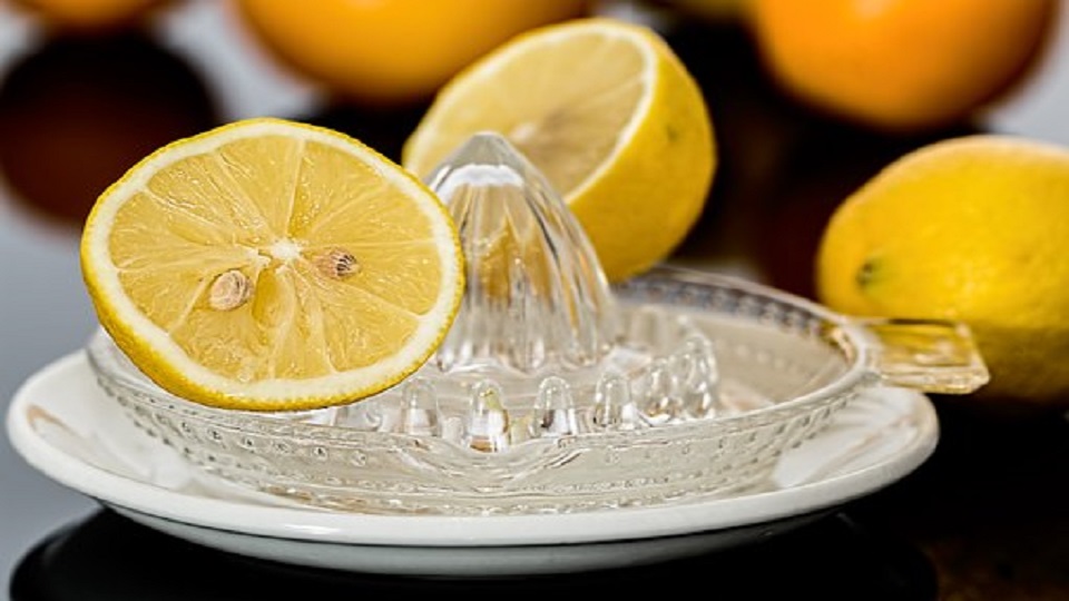 Nutrition in Lemon