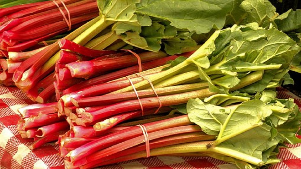 Nutrition in Rhubarb