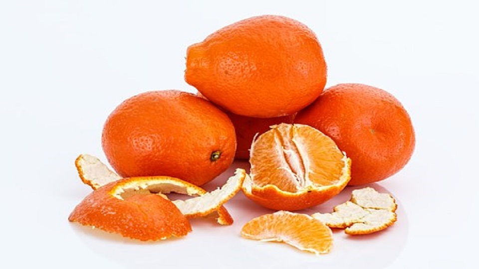 Nutrition in Orange