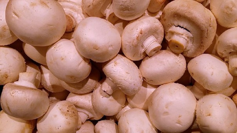 Mineral-Rich Vegetables