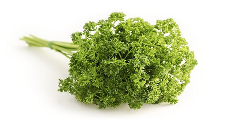 Nutrition in Parsley