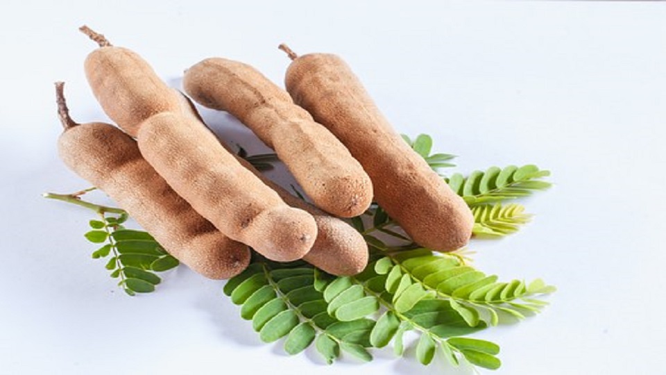 Uses of Tamarind, the Indian Date