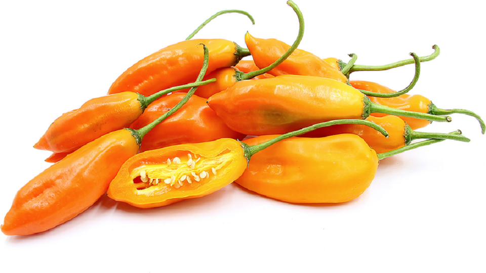 Hottest Chile Peppers in the World