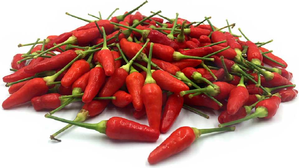 Wild Species of Chile Peppers