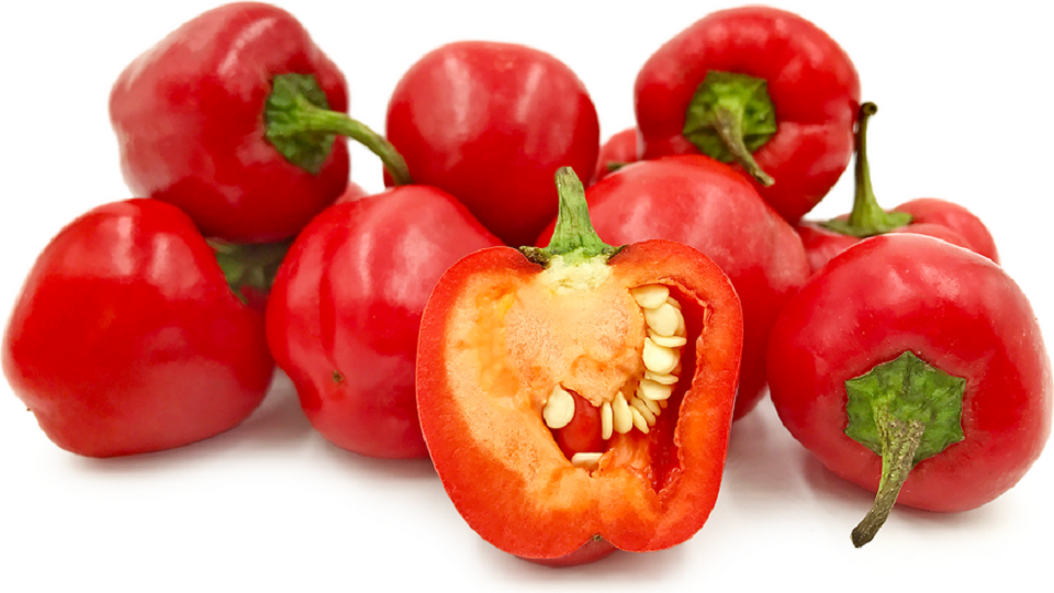 Capsicum pubescens, the Rocoto Peppers