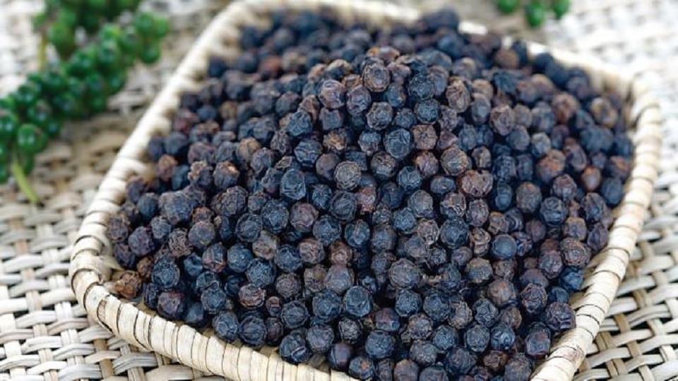 Capsicum chacoense, the Tova Pepper