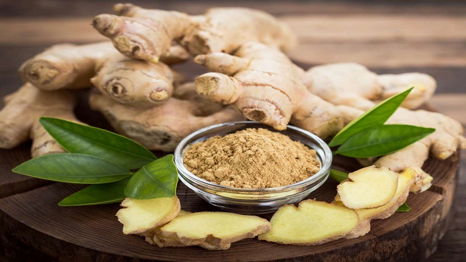 Food and Medicinal Uses of Ginger and Turmeric
