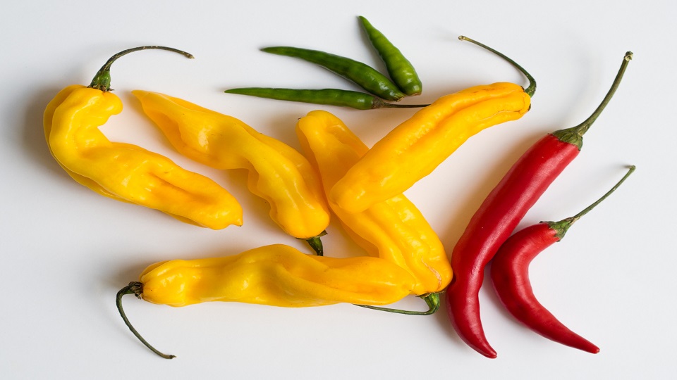 Health Benefits and Nutrition of Chile Peppers