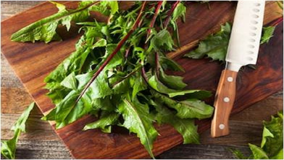Health Benefits of Dandelion Greens