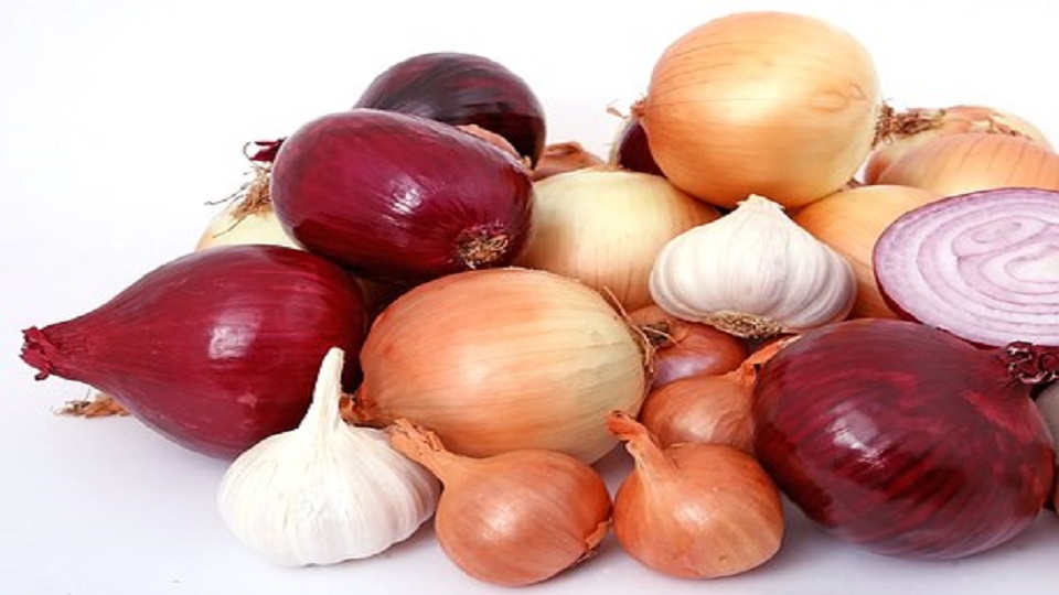 Organic Gardening of Bulb Vegetables