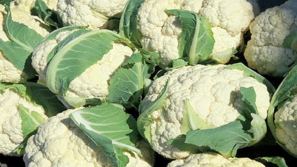 Different Varieties of Cauliflower