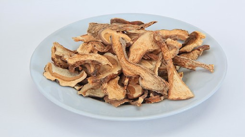 Processed Products of Mushrooms