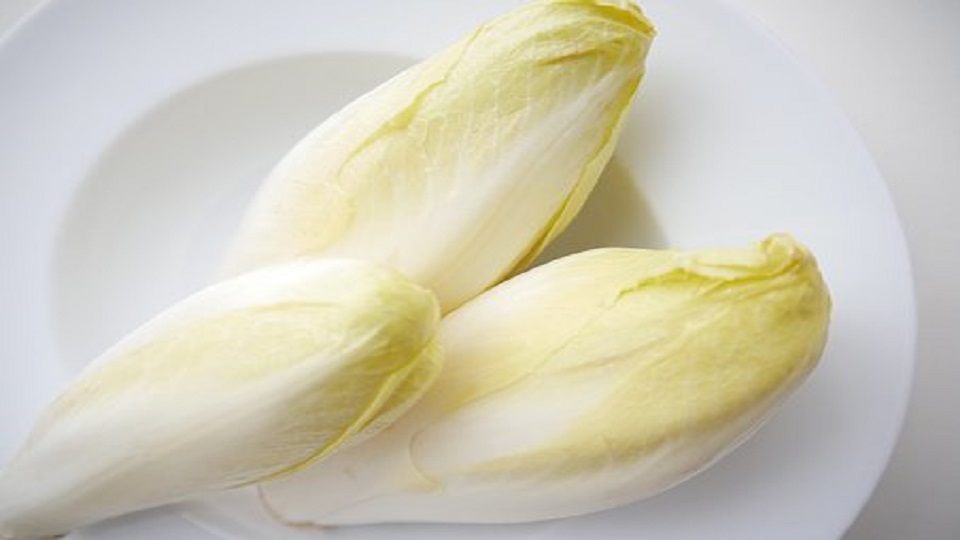 Types of Chicory