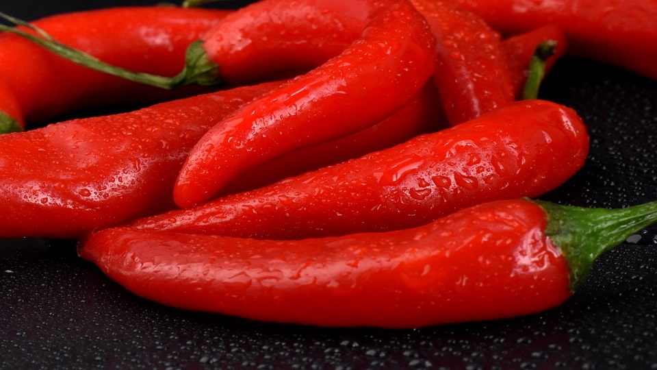 Color, Pungency and Hotness of Chile Peppers