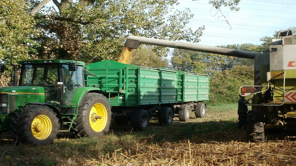 Government Support for Organic Farming in India