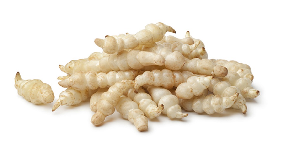 What are Chinese Artichokes or Crosnes?