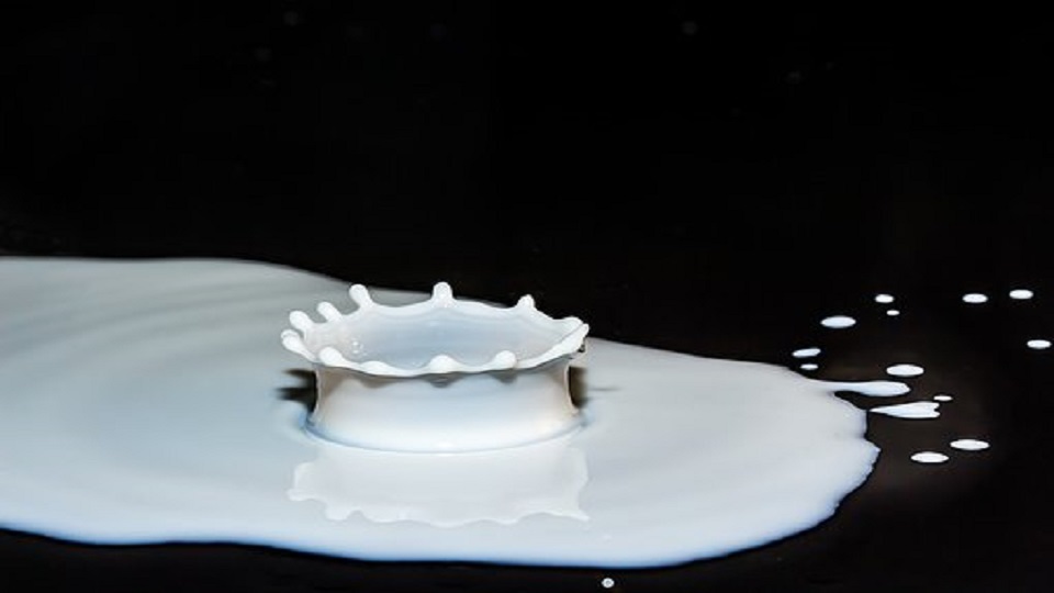 Nutritive Value of Milk