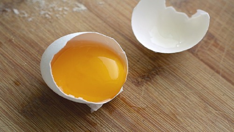 Structure of an Egg