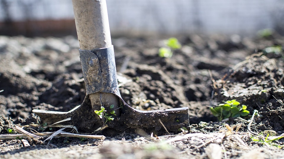 Advantages and Disadvantages of Organic Farming