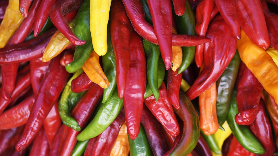 Different Types of Chillies or Chile Peppers