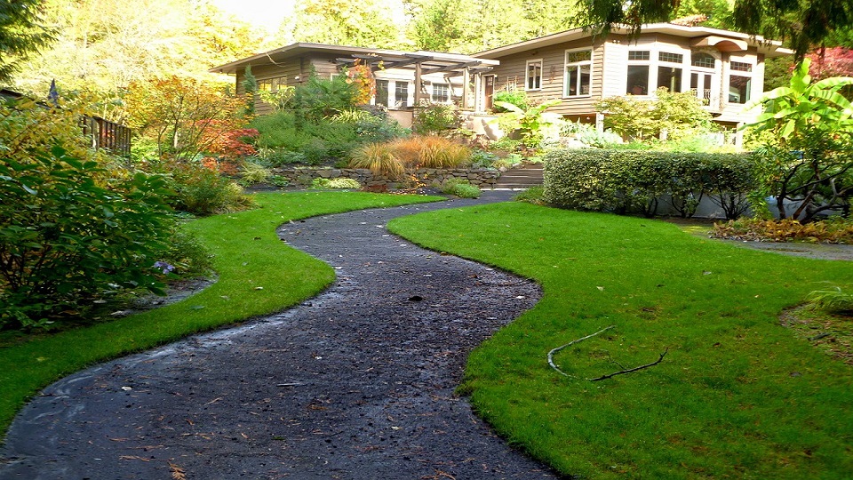 Planing a Home Garden