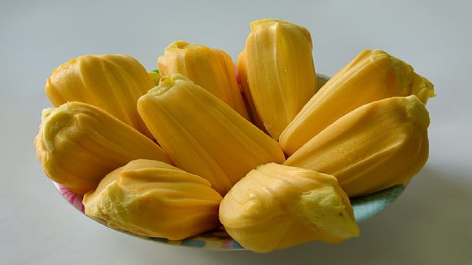 Jackfruit Food Recipes