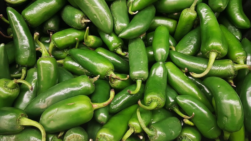 Processed Products of Jalapenos