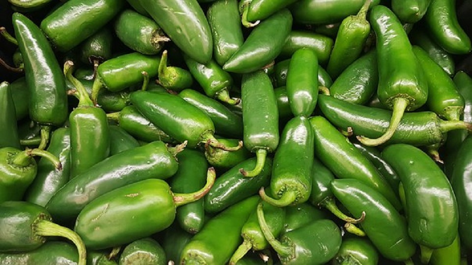 Health Benefits of Jalapenos