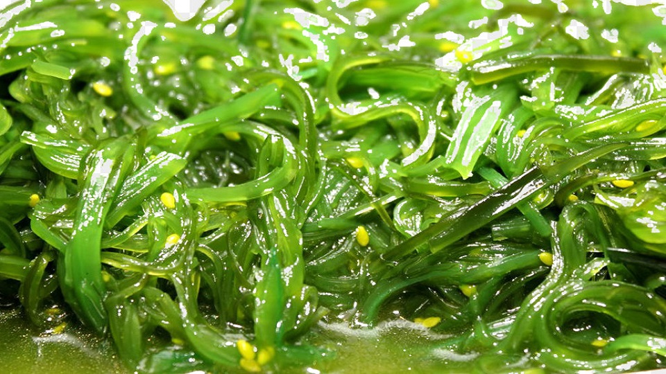 Spirulina and Wakame