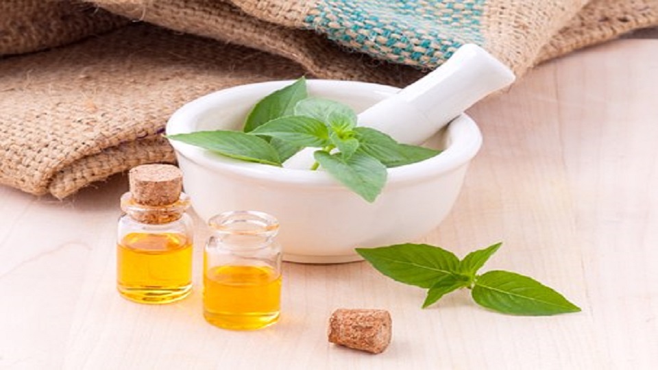 Therapeutic Uses of Aromatic Herbs