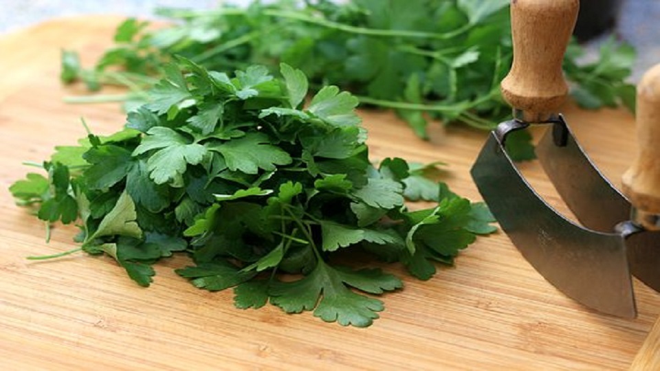 Growing Practices for Parsley