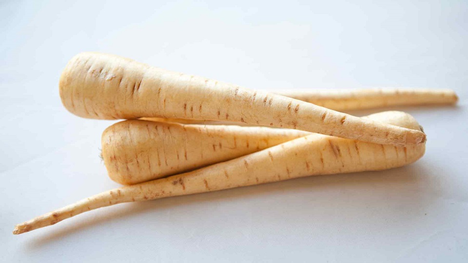 Parsnip, Jicama and Hamburg Parsley