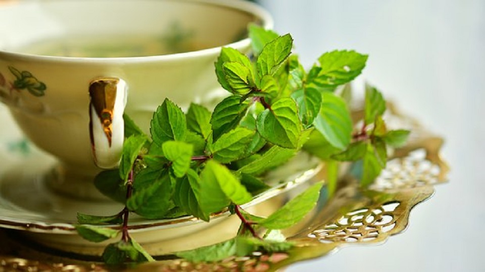 Food Uses and Medicinal Properties of Peppermint