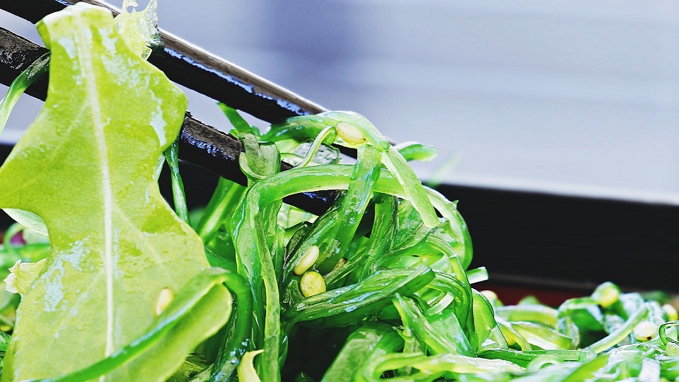 Seaweed Vegetables