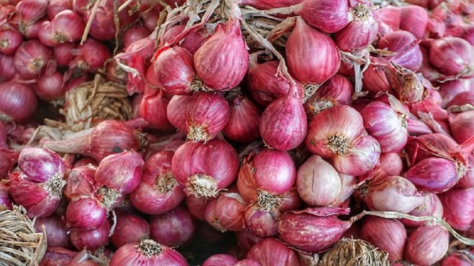 Shallots: A Multi-Purpose Bulb Vegetable