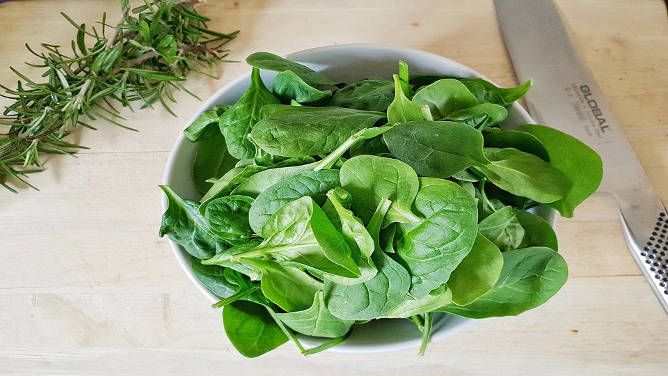 Organic Growing of Spinach Herbs
