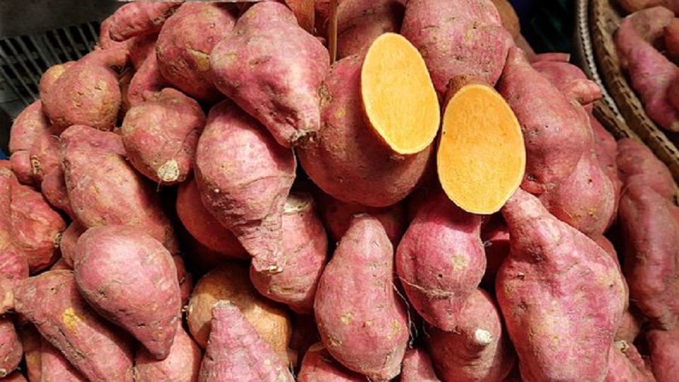 Food Uses of Sweet Potato