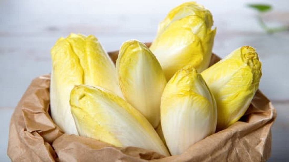 Health Benefits of Endive