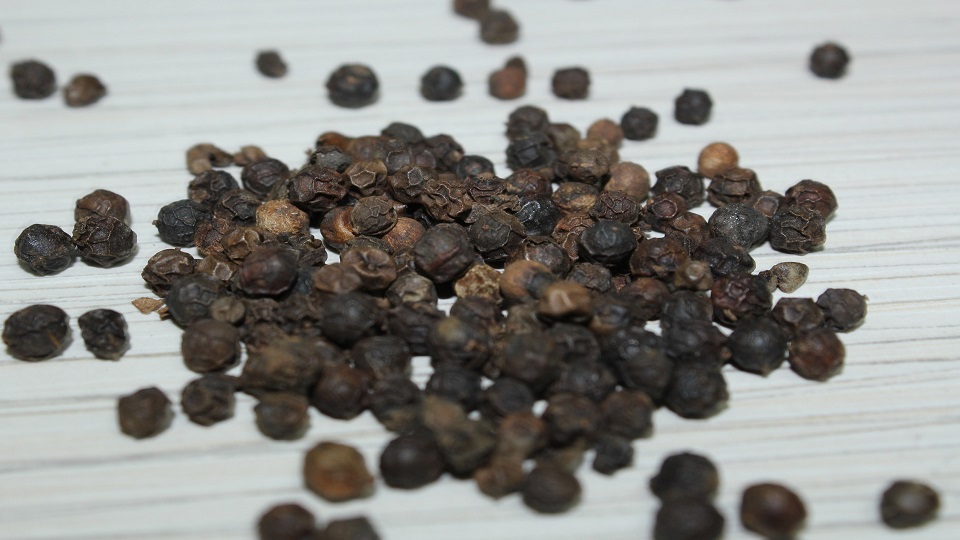 Growing Practices for Black Pepper