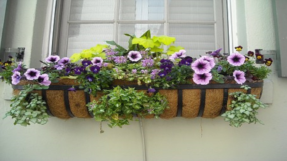 Types of Gardening