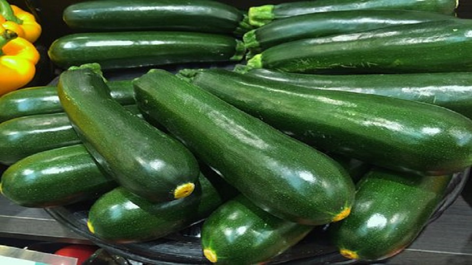 Food Uses and Nutrition in Zucchini